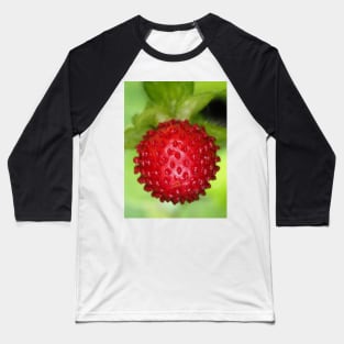 Red berry of Potentilla indica - mock strawberry Baseball T-Shirt